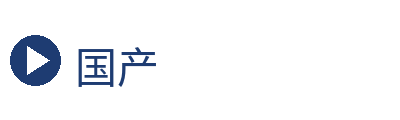 国产 Logo